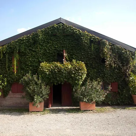 Farma Il Bove